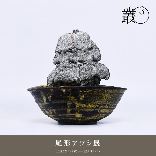 尾形アツシ展 @叢03 | 情報 | 叢 – Qusamura