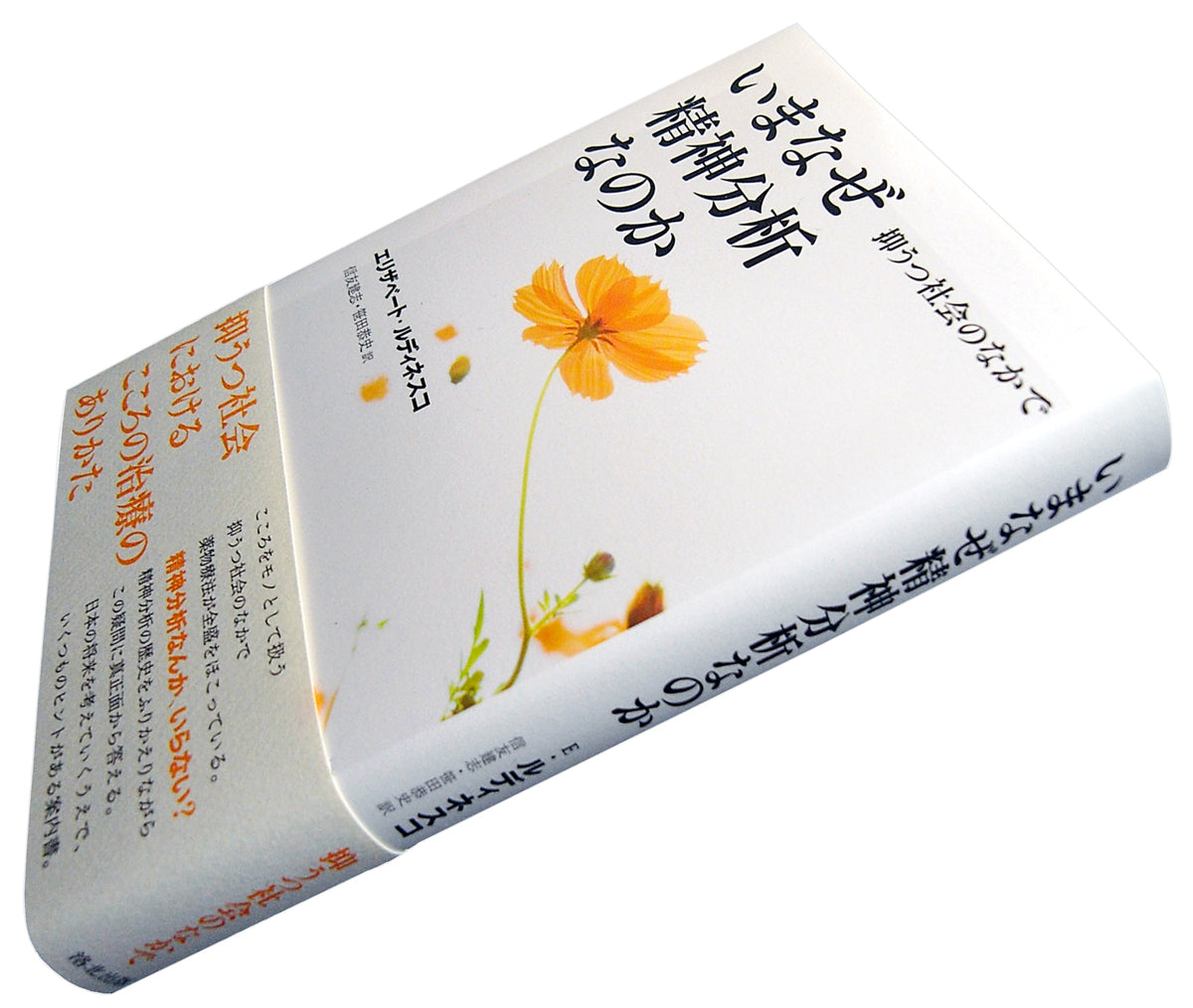 いまなぜ精神分析なのか――抑うつ社会のなかで』、エリザベート