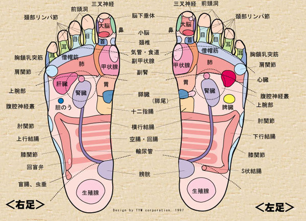 足つぼマッサージを自分で刺激する際のもっとも効果的なやり方 | 日本