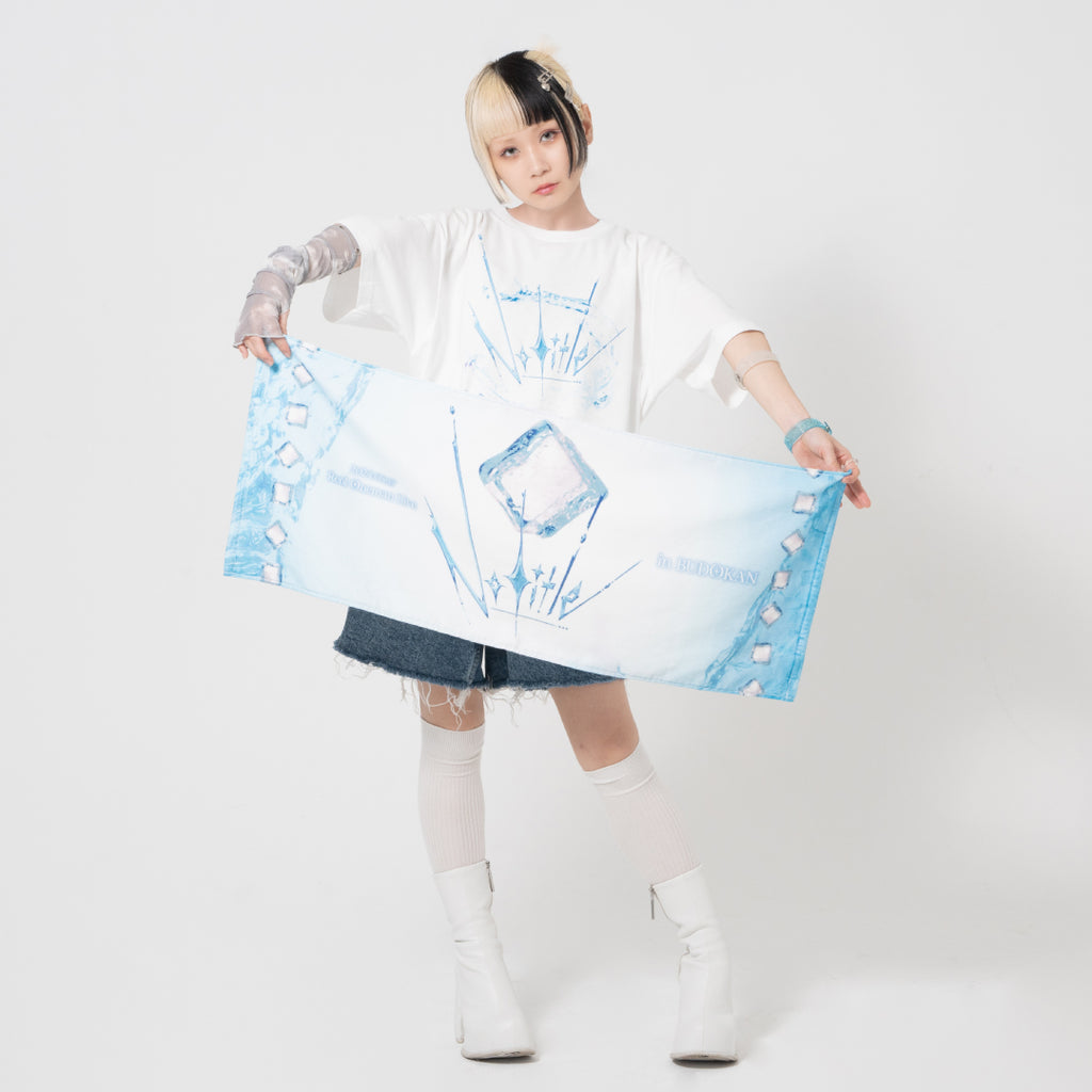 Reol_Notitle_goods2_towel_2_10