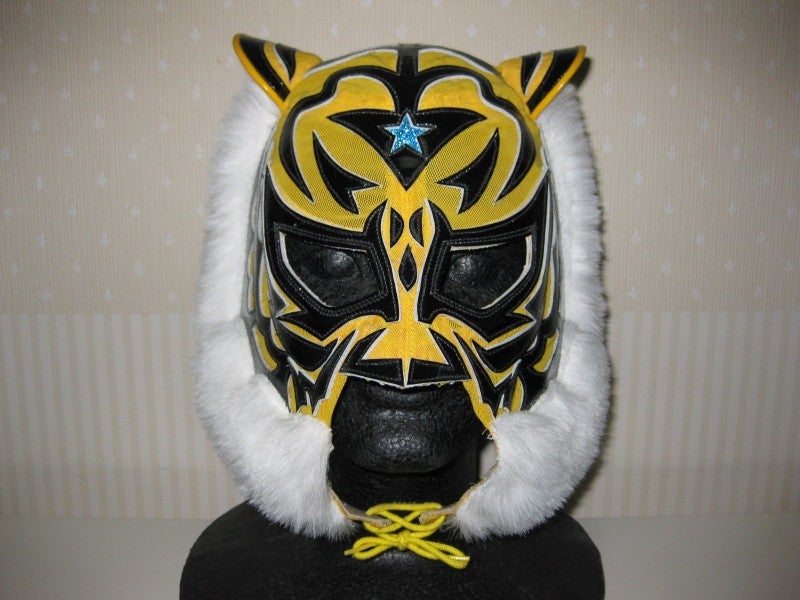 金本浩二選手の早期復帰を祈り？ 3代目タイガーマスク | M26号