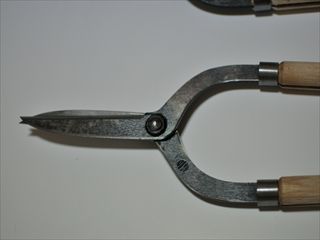 大覚寺(宮甚)再始動！！ | べしょうのブログ