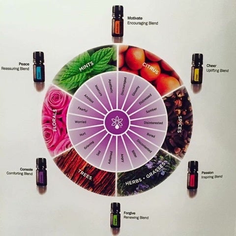 新製品ドテラエモーショナルアロマセラピーキット車輪の謎？ | DV元