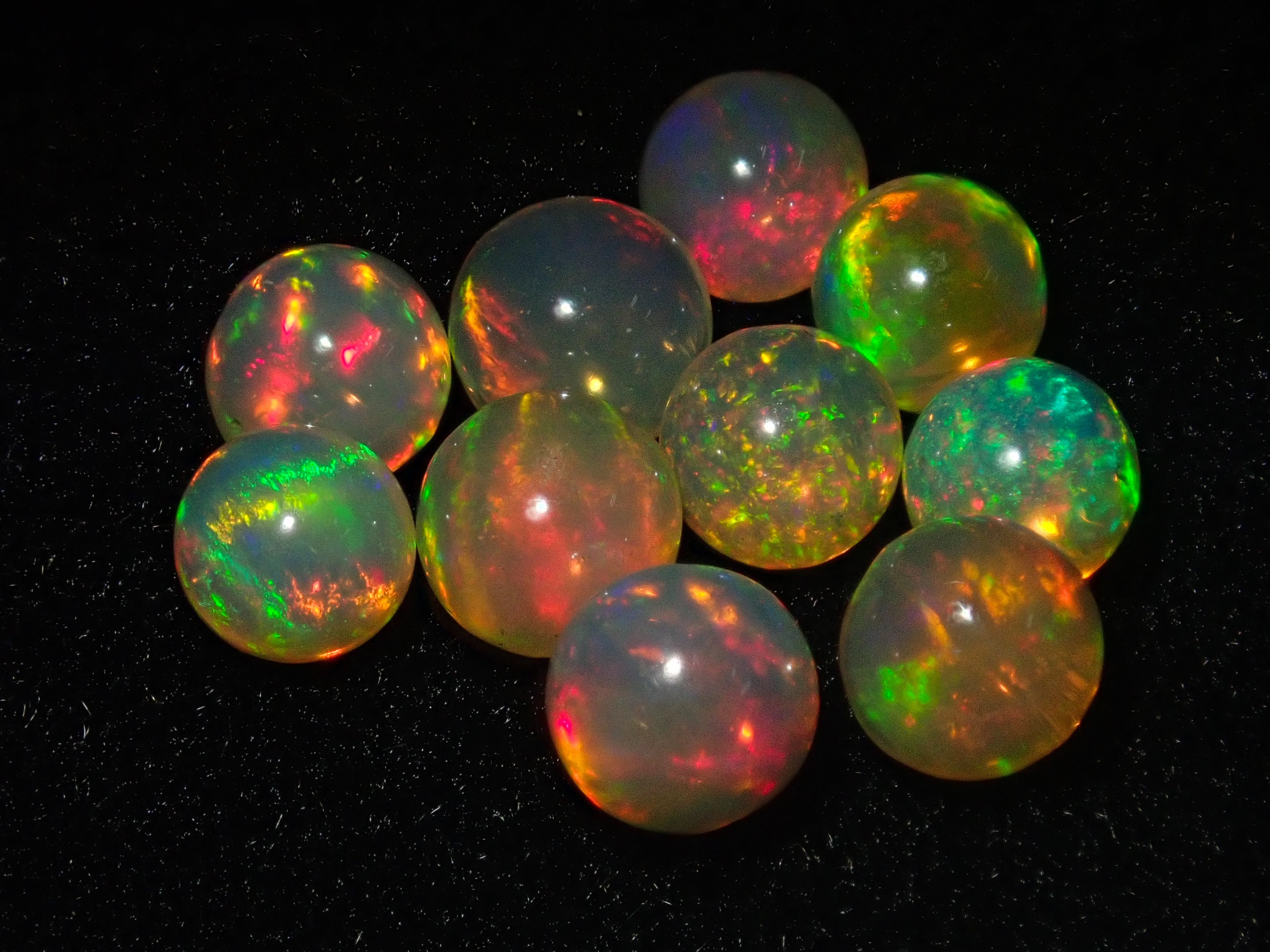 P5160442.jpg?v=1716553106&