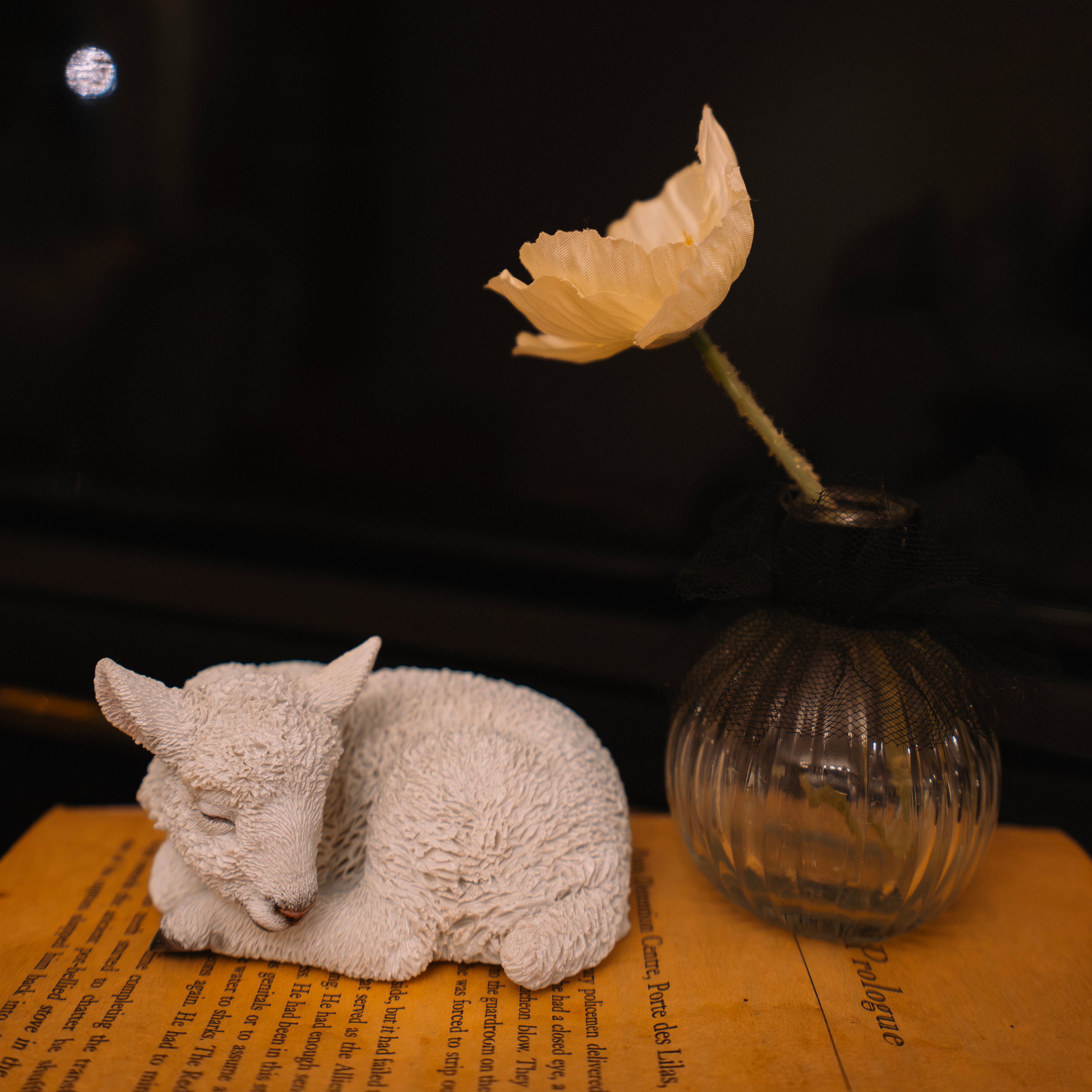 H17069.jpg?v=1740392421