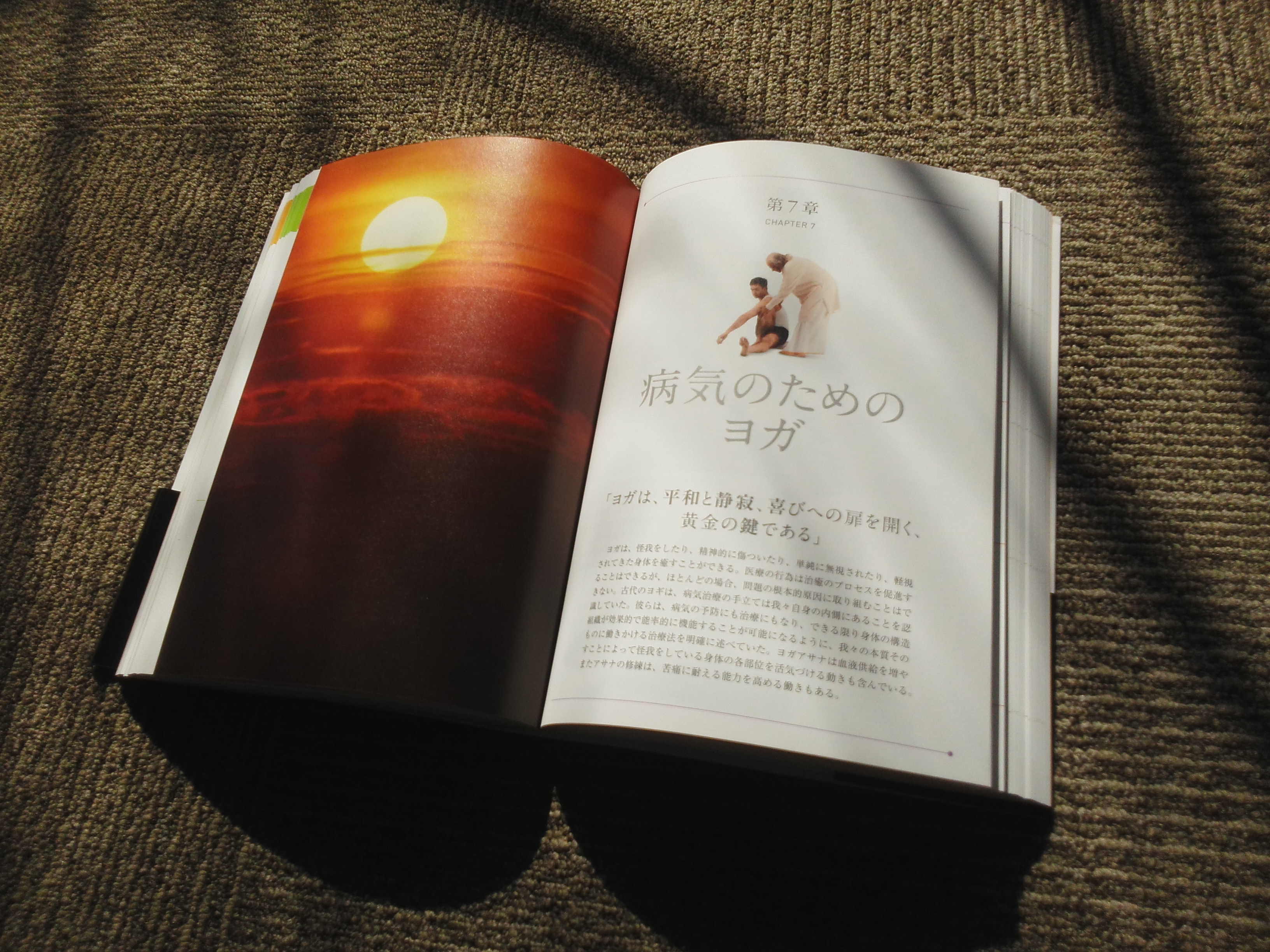 YOGA SADHANA: アイアンガーヨガ完全マニュアル