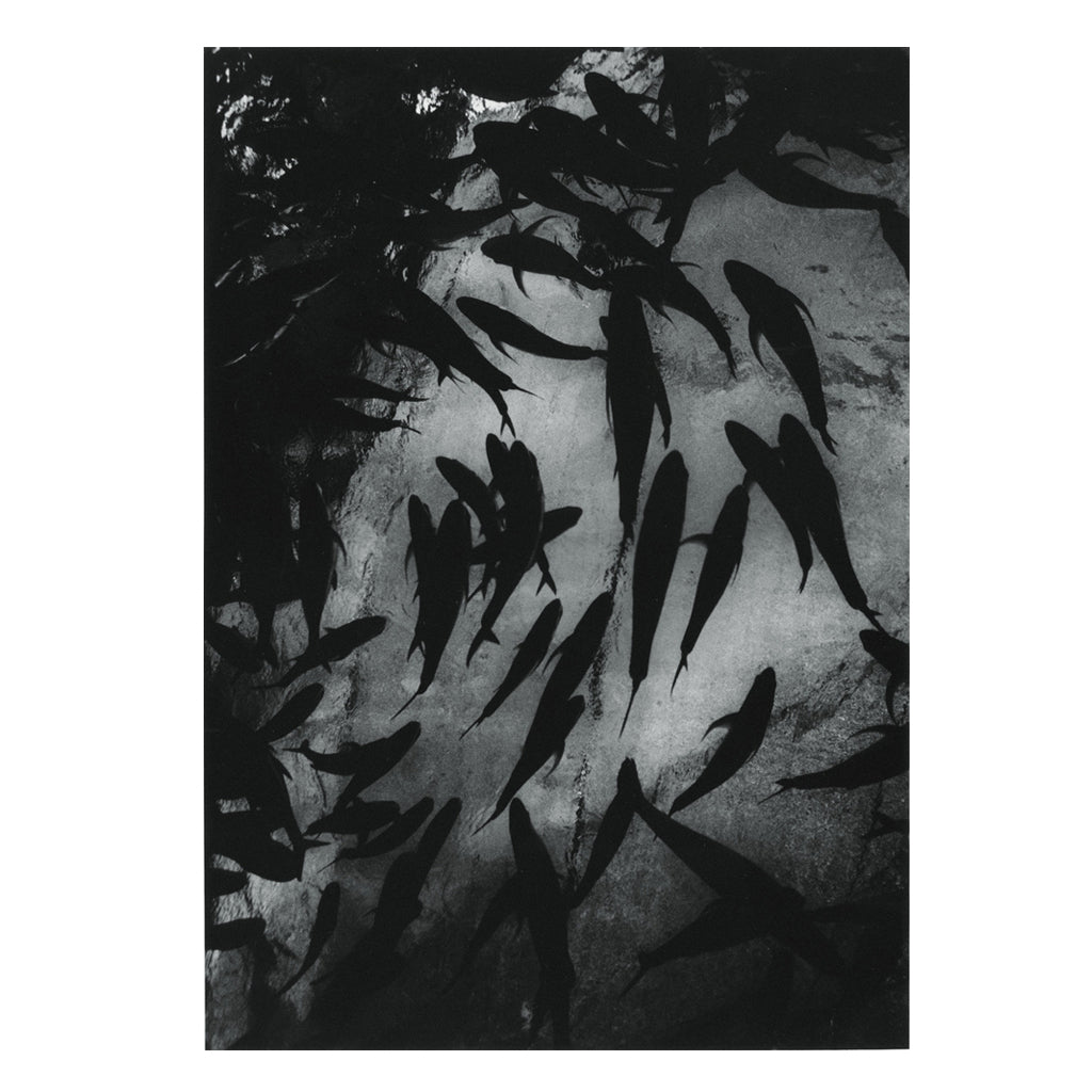 poster_fukei02_1024x.jpg?v=