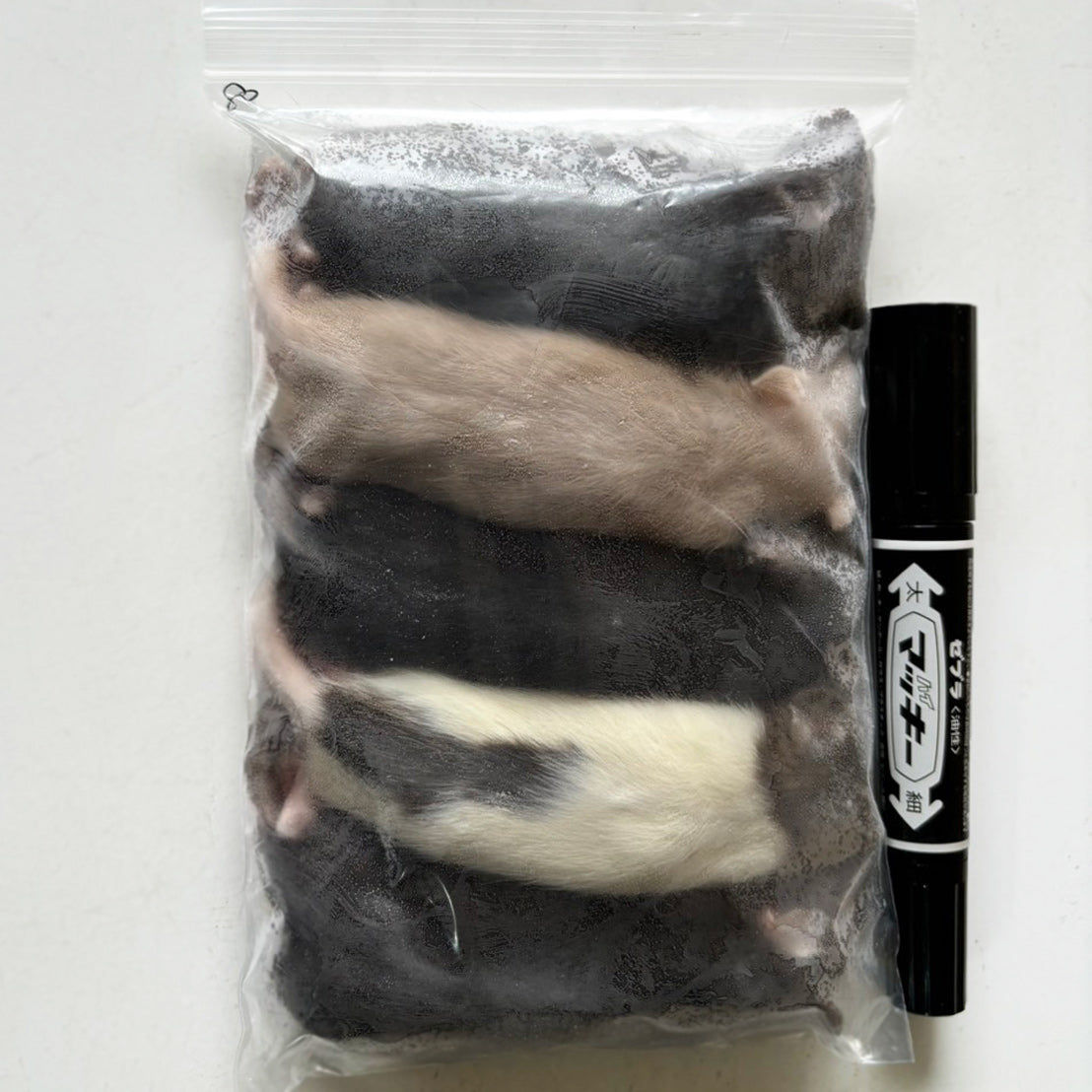 国産冷凍ラット80 約80g 5匹入り – サイエンスファーム