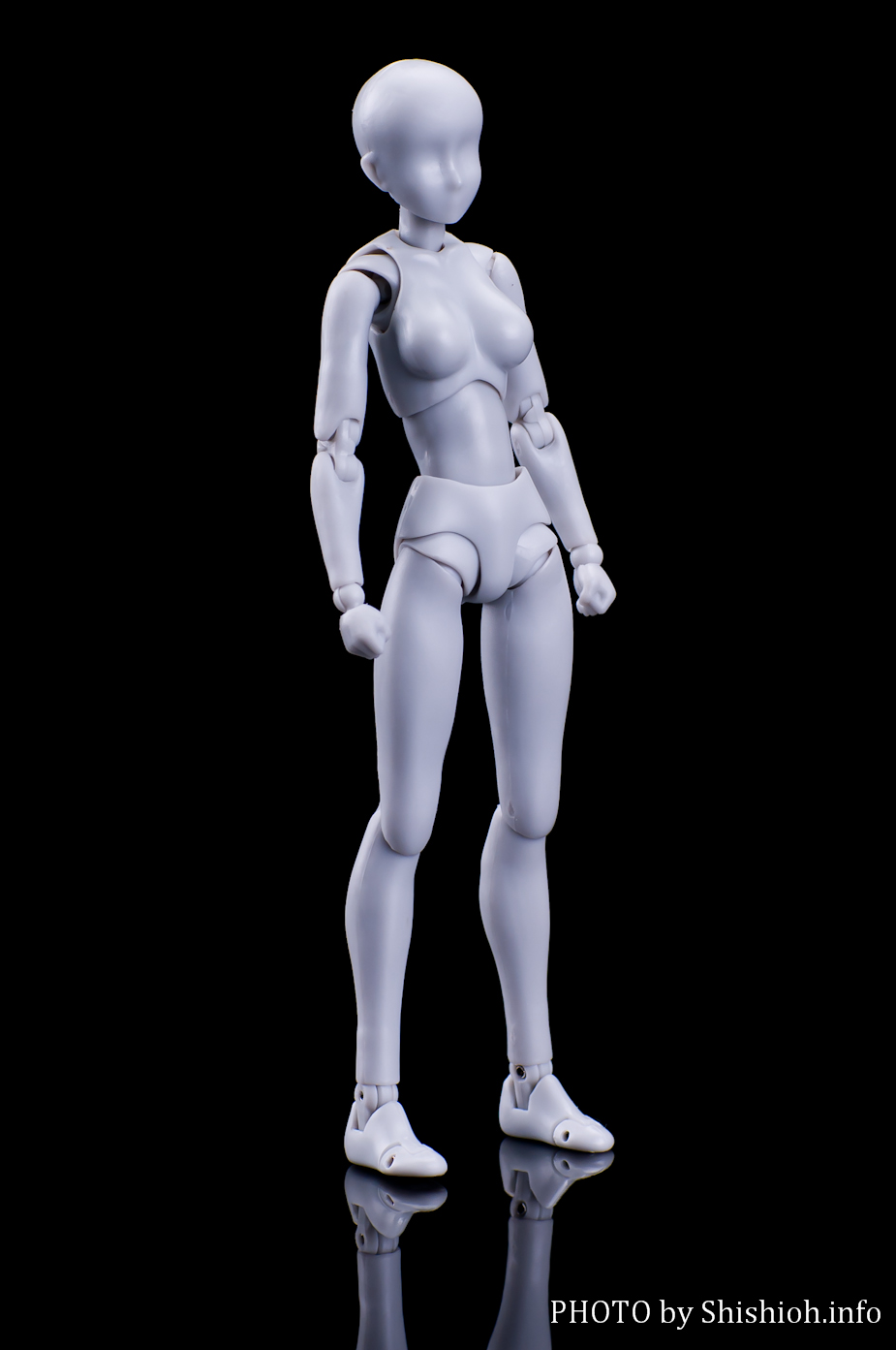 レビュー】 バンダイ S.H.Figuarts ボディちゃん DX SET （Gray Color