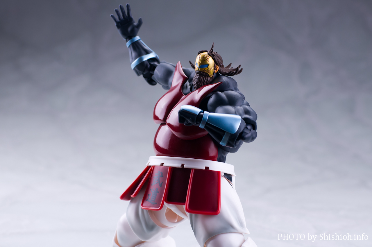 レビュー】 バンダイ 魂ウェブ商店 S.H.Figuarts ビッグ・ザ・武道