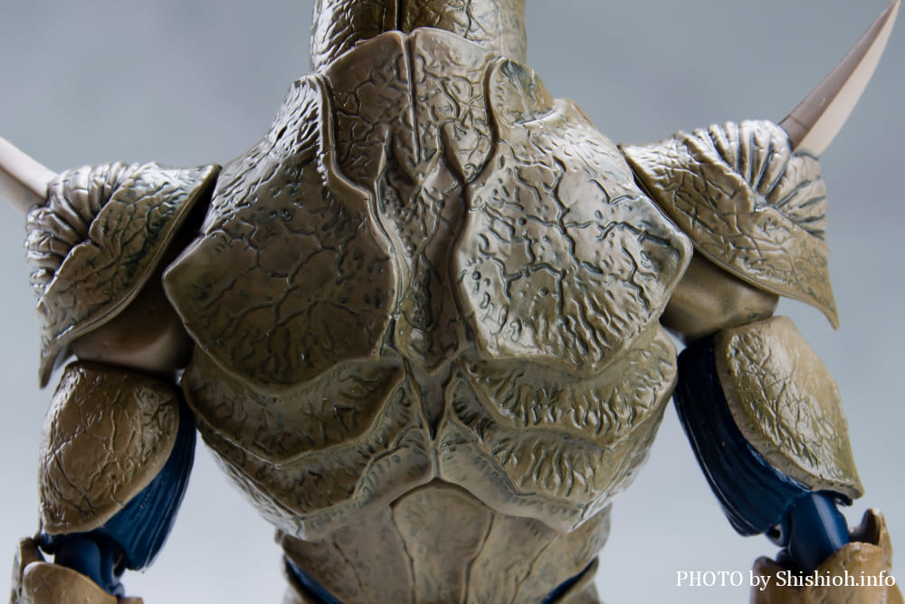 レビュー】 バンダイ 魂ウェブ商店 S.H.Figuarts ドラス [仮面ライダーZO]