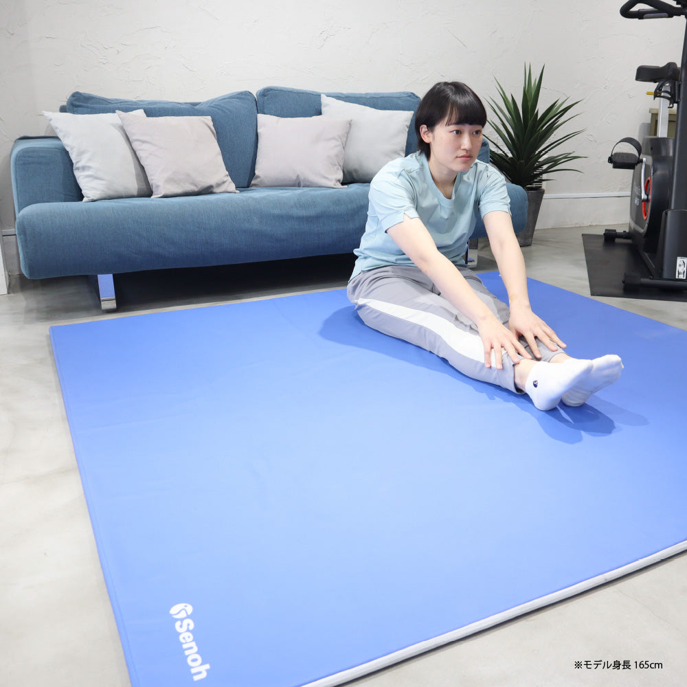 ストレッチマット/トレーニング備品/セノーオンラインショップ – Senoh