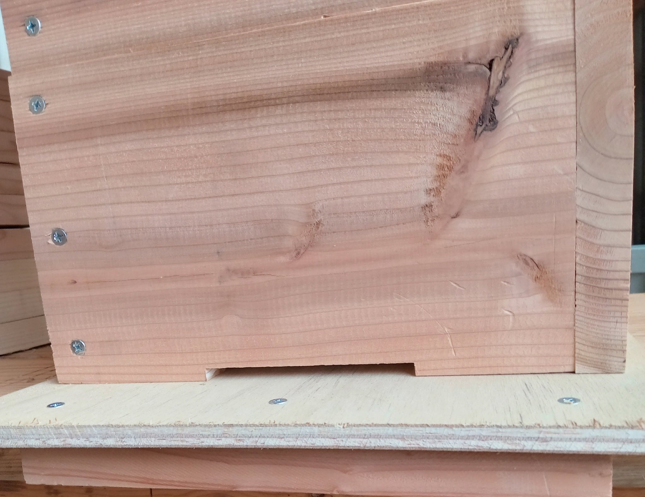 DSC_002000.jpg?v=1732975464