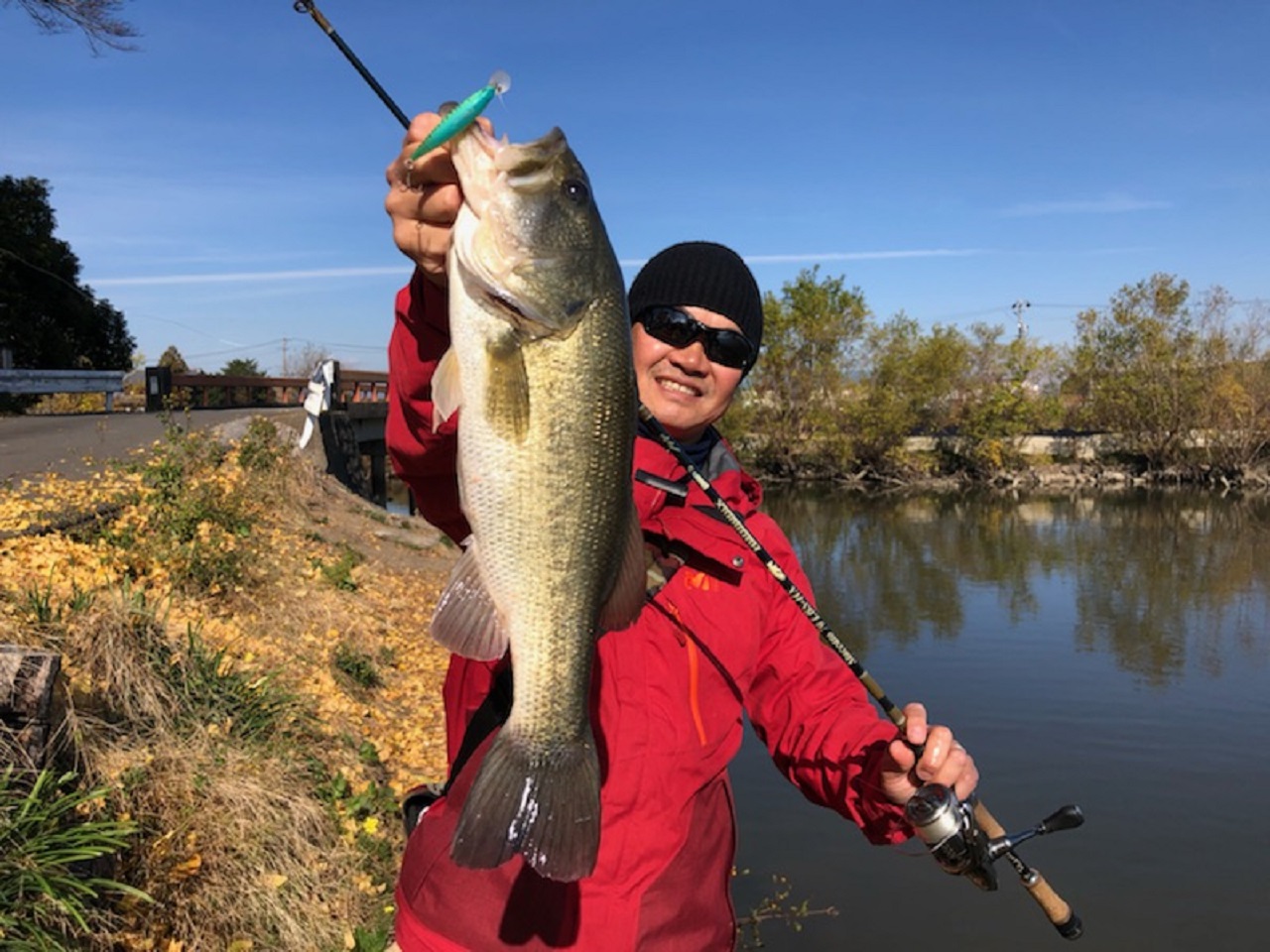 TULALA | Ford every stream | » Staccato70LBS-HX