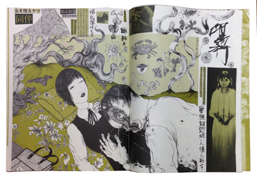 市場大介「Romance Mûre」 | Welcome to TACO ché - ようこそタコシェへ -