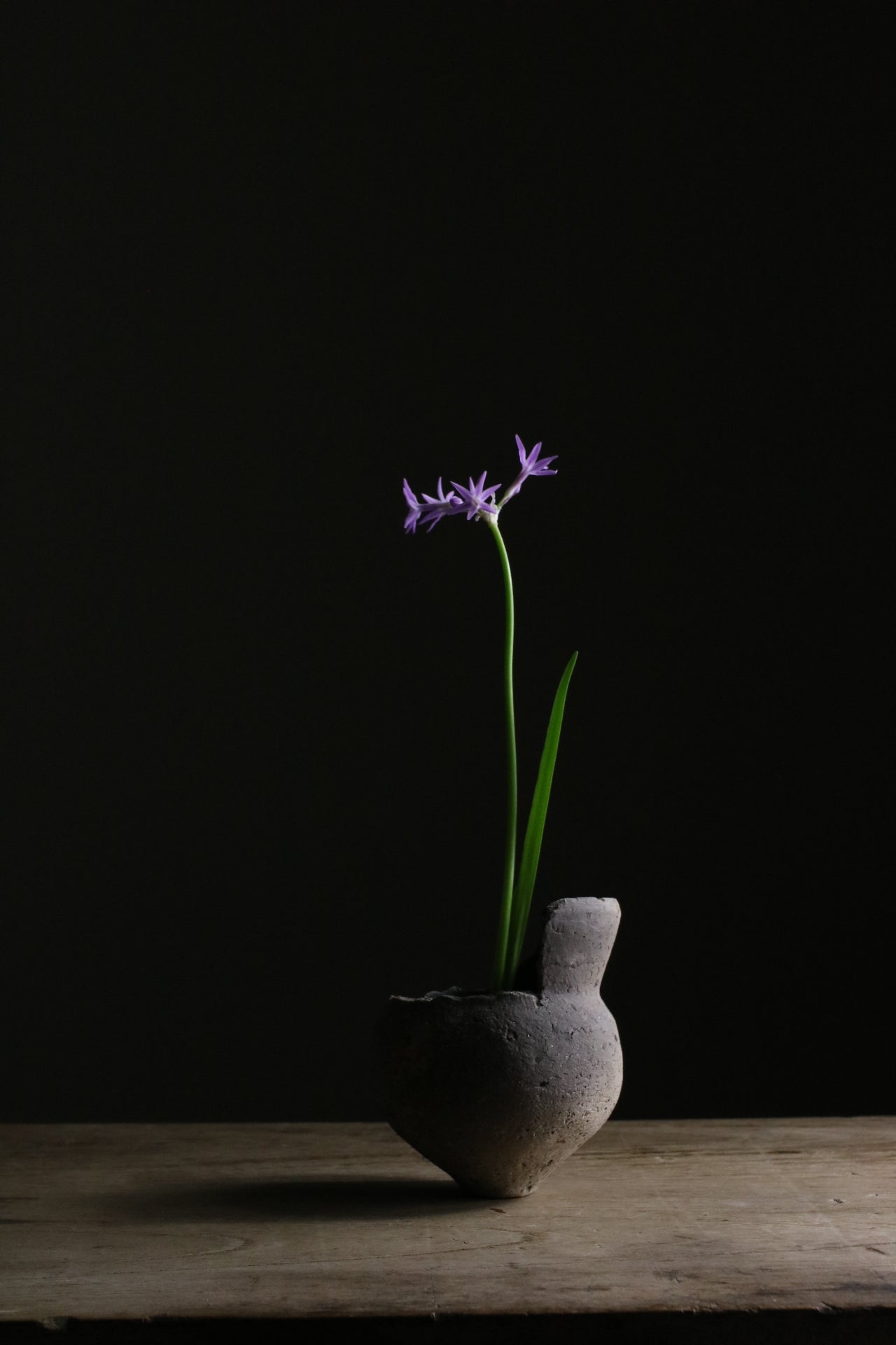 川あがり弥生土器 – tametsu sugametsu