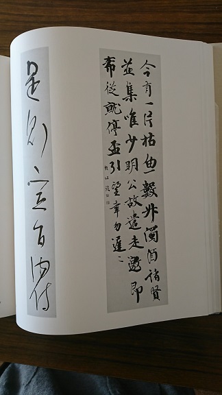 大澤雅休作品集 書作品 | 大澤雅休・竹胎の書