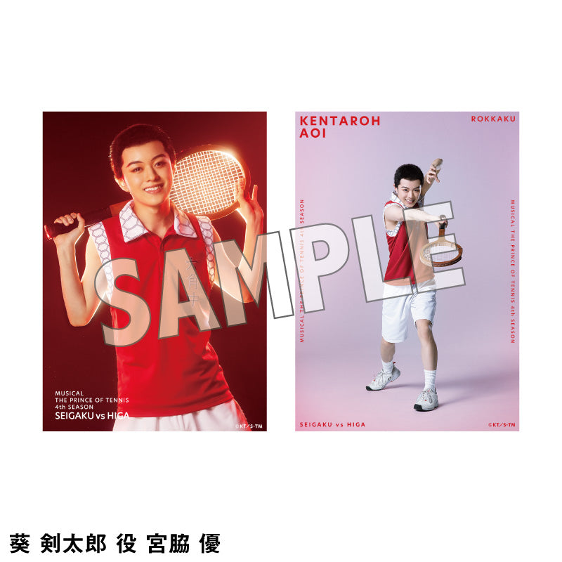 オリジナルブロマイド（ソロ）六角各種 – ミュージカル『テニスの王子