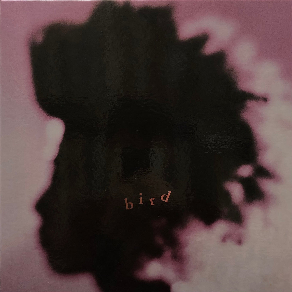 IMG-3539_a3368058-f1ce-4b1b-