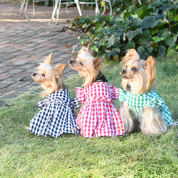 soor ploom ines 4y ギンガム SOOR PLOOM ines Ines Romper Gingham 4y