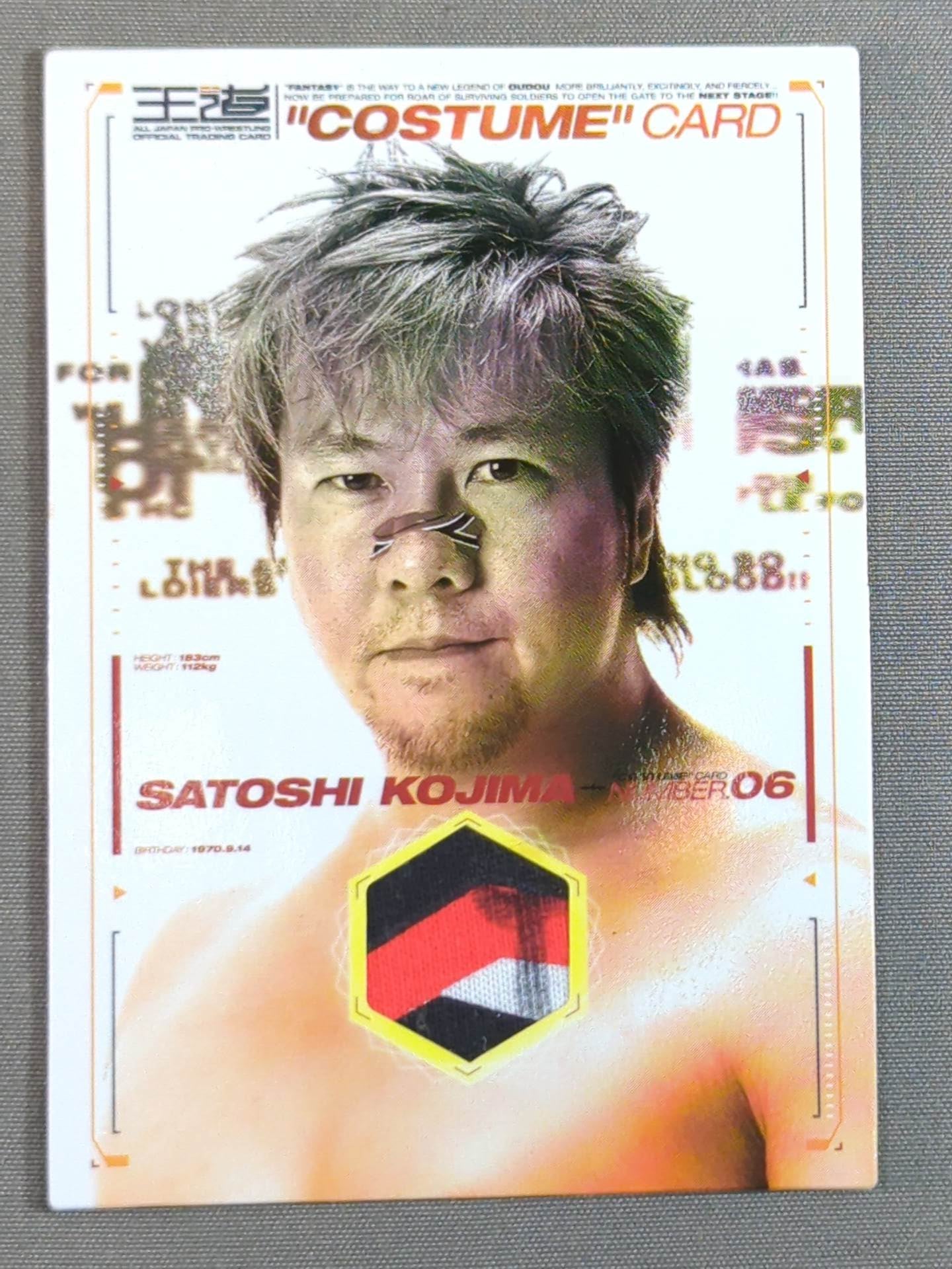 2003 ネクスト 全日本プロレス王道 小島聡 公式コスチュームカード