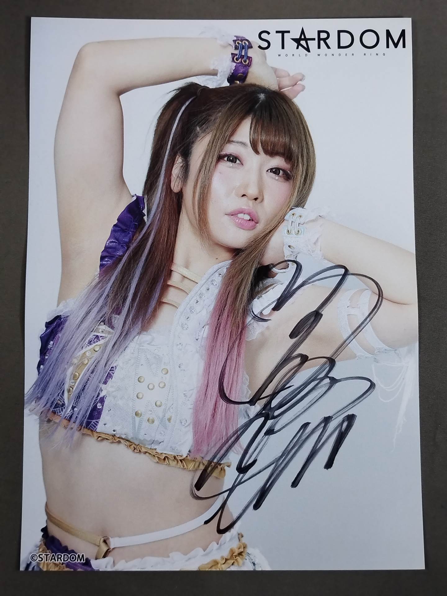 限定品4種セット】スターダム 安納サオリ 10周年記念サイン入りポート