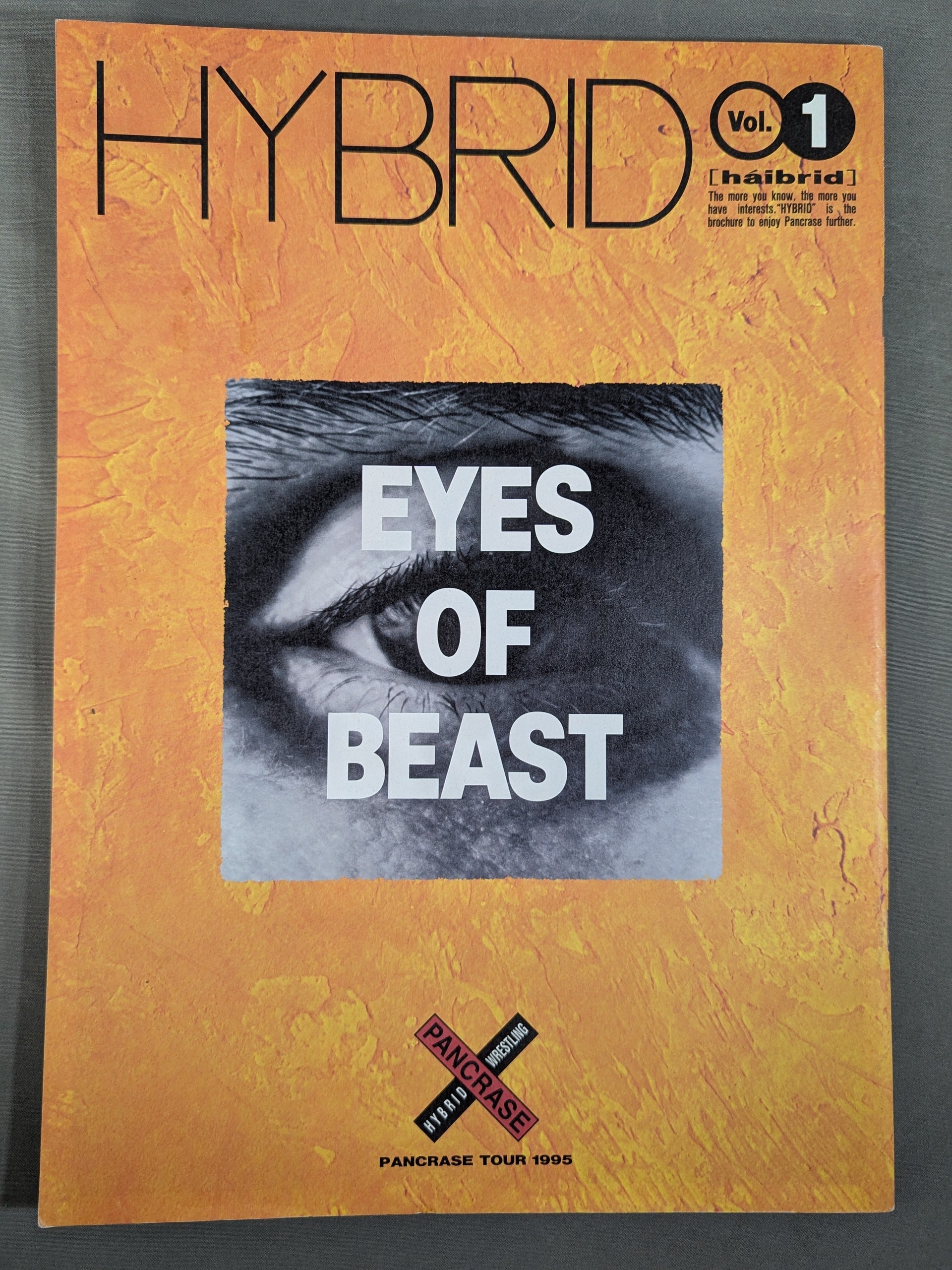 パンクラス / HYBRID Vol.1 EYES OF BEAST PANCRASE TOUR 1995 – 闘道館