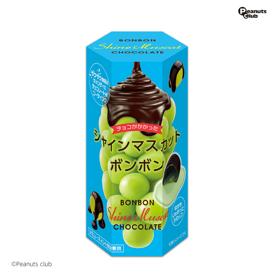 チョコがけシャインマスカットボンボン六角BOX(S)｜タイトーの11月の