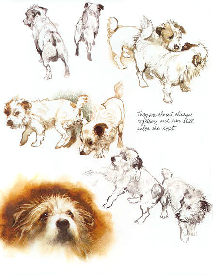 Terrierman - The Art of Rient Poortvleit