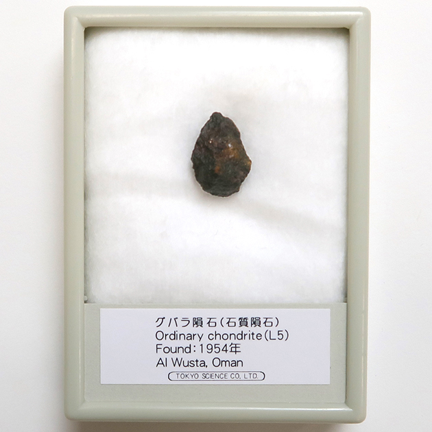 石質隕石｜化石販売・鉱物販売の東京サイエンス
