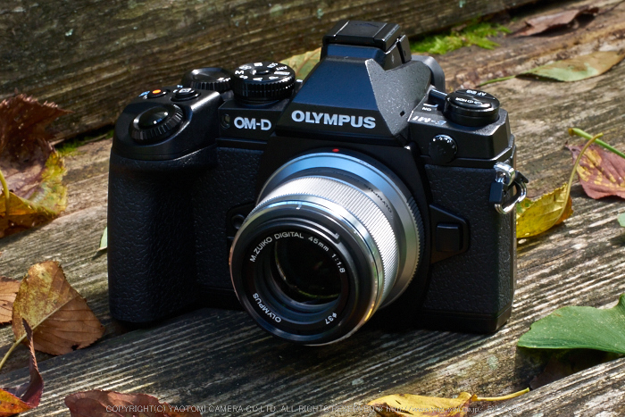 お写ん歩: OLYMPUS M.ZUIKO DIGITAL 45mm F1.8アーカイブ