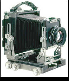 エボニー of ワイズクリエイト