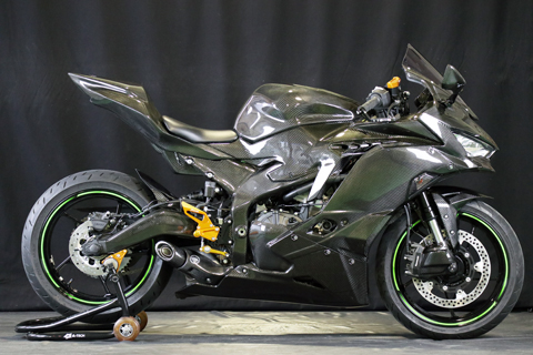 Ninja ZX-25R (2020-) スイングアームカバー --