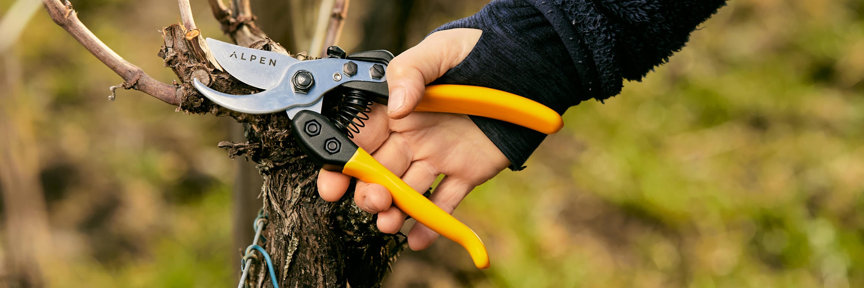 Pruning shears – Alpen Swiss Tools