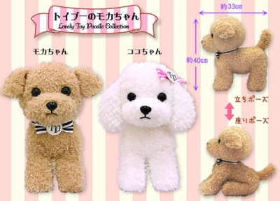 5月新商品》トイプーのモカちゃん｜アミューズ最新情報