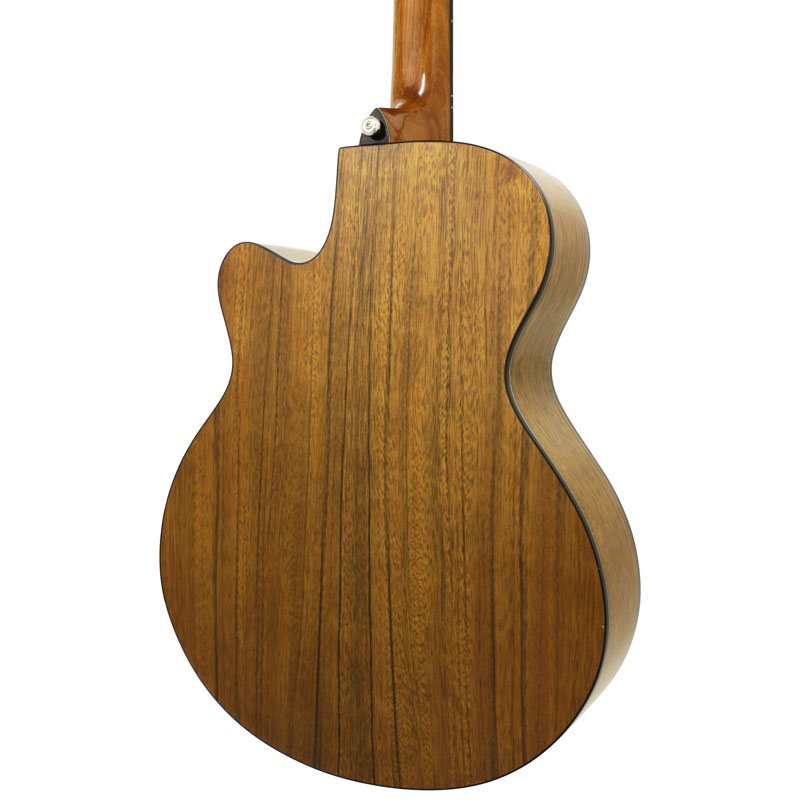 Aria TG-1N アコースティックギター 弦交換済み ソフトケース付き Aria