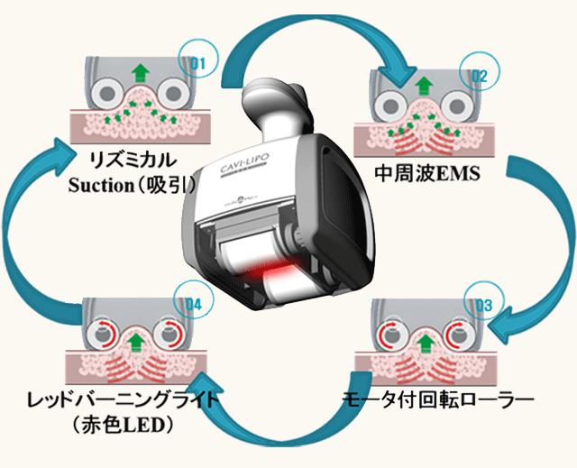 女性整体TOTAL BODy PRO