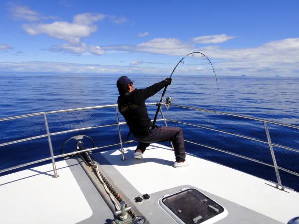 カーペンター BLC80／35 R－PM SC ブルーチェイサー