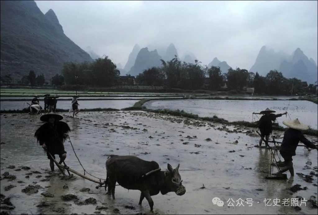 1979年日本久保田博二镜头下的中国