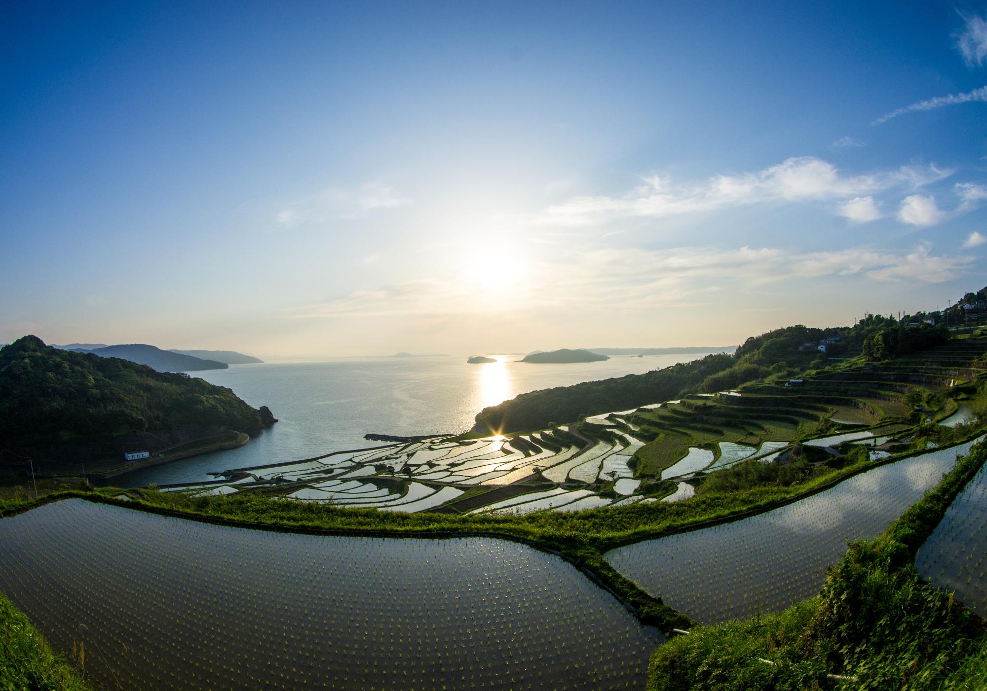 土谷棚田／松浦市