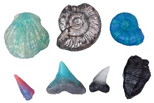 令和7年8月16日（土曜日）・17（日曜日）「化石のレプリカを作ろう