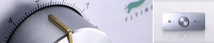 CA-S3 | FLYING MOLE DIGITAL AMPLIFIER WEBSITE