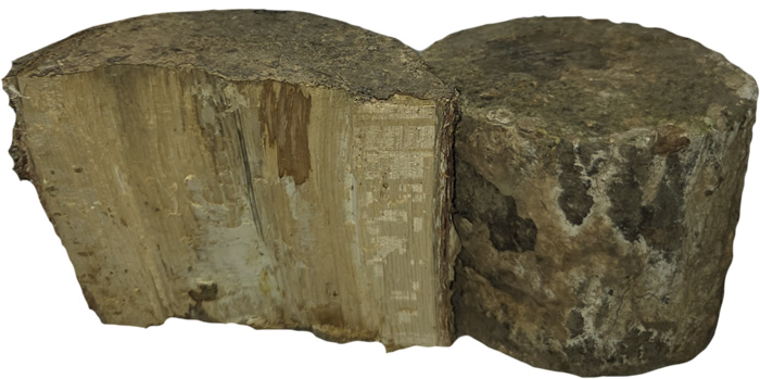 NEW☆土埋めレイシ産卵材