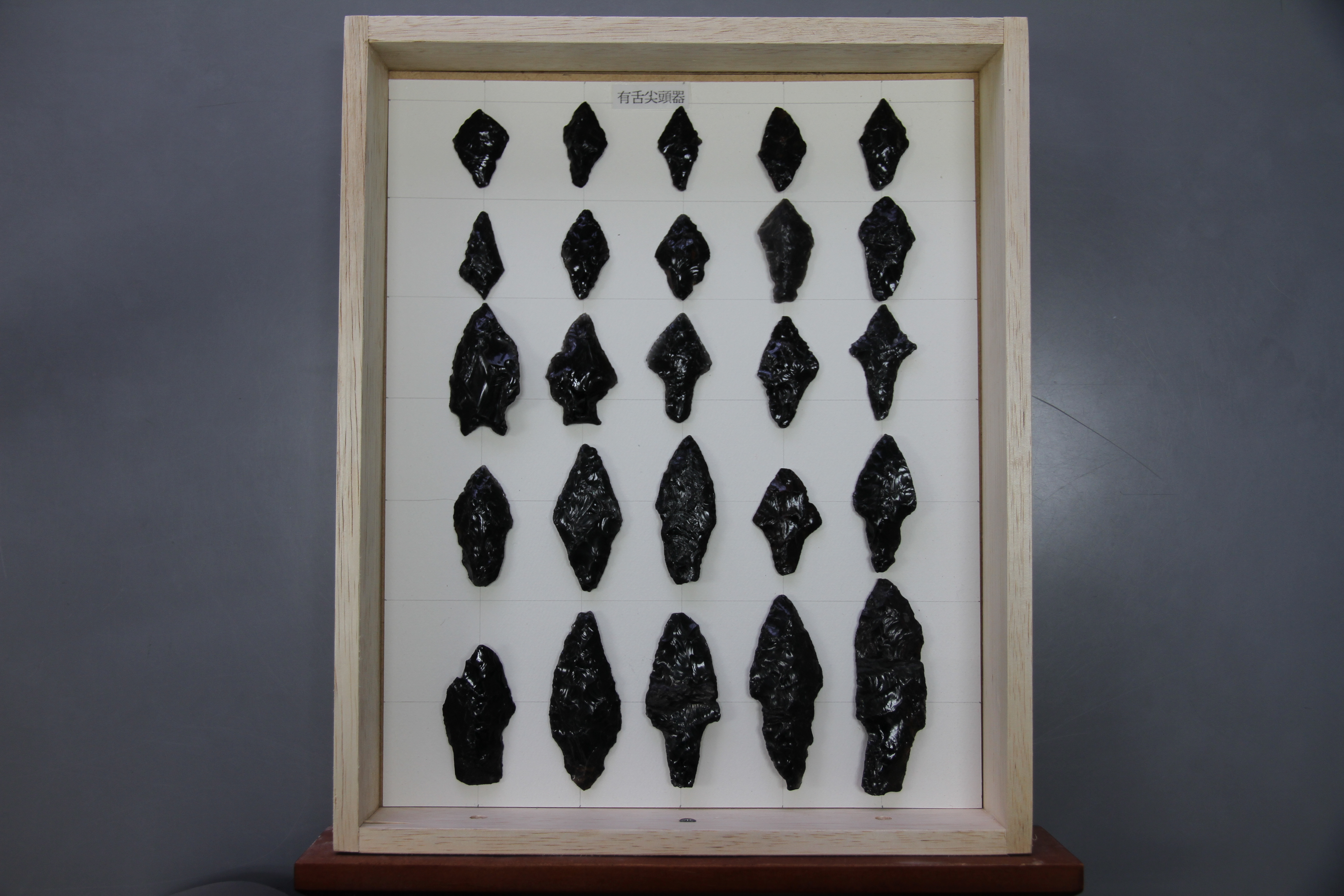 畑の中から顔をだす、大昔の道具たち | 集まれ！北海道の学芸員