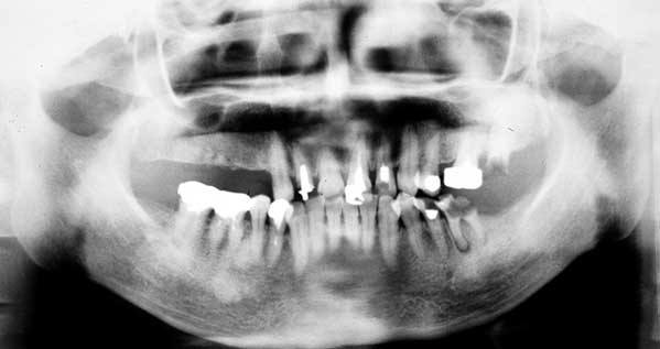 黒田昌彦のひとりごと（2020年）| 黒田歯科医院（東京都千代田区内神田）