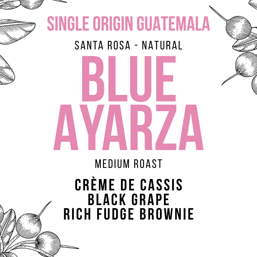 Guatemala Santa Rosa - Blue Ayarza | FREE SHIPPING +$40 – Jaho