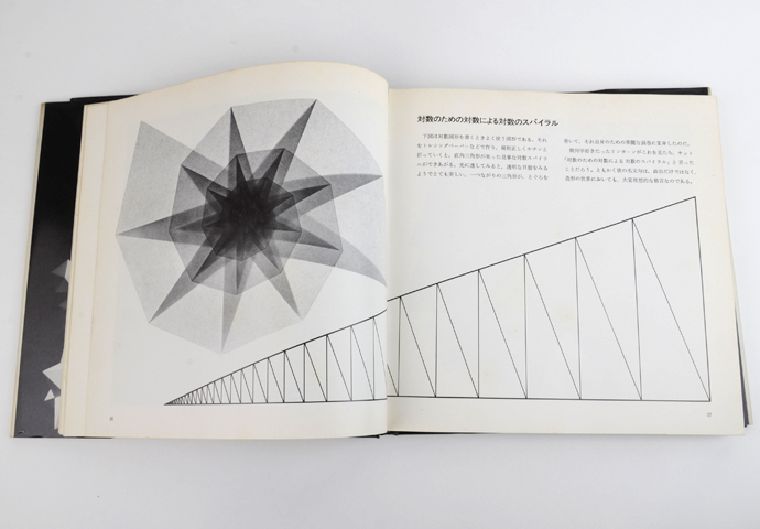 基本形態の構造｜恵文社一乗寺店 オンラインショップ