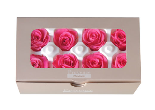 アウトレット | プリザーブドフラワーKnext