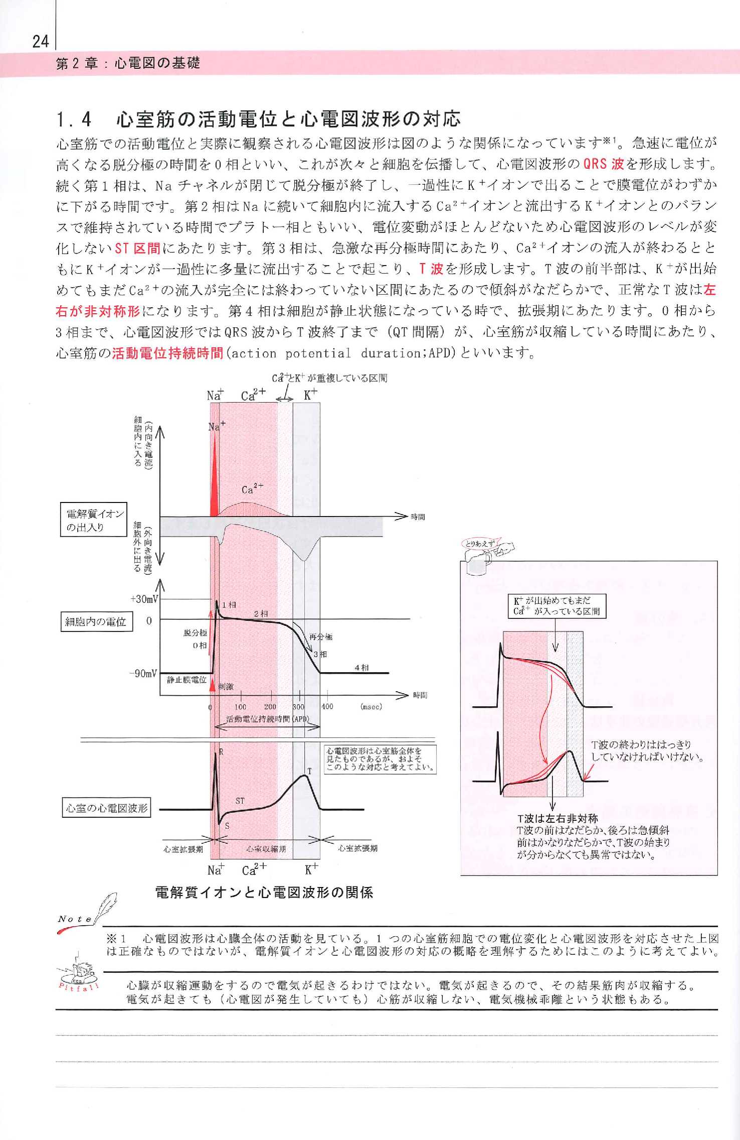 MTS Medical Try System