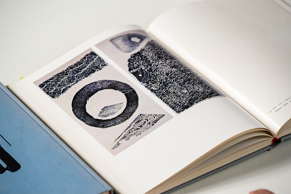 蝶の軌跡》を解読する｜vol.3 長谷川三郎《蝶の軌跡》のイリュージョン